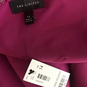 Hot pink dress, The Limited
